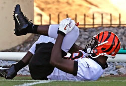 Bengals WR AJ Green Clutching Bruised Knee